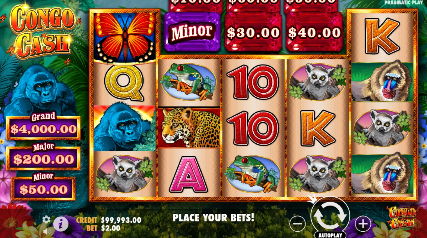 Prueba Demo Congo Cash