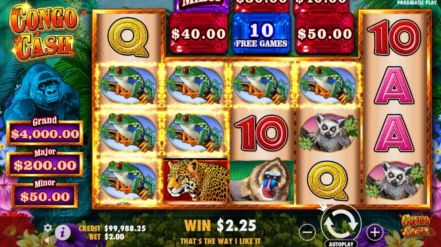 Jackpot En Línea En Congo Cash