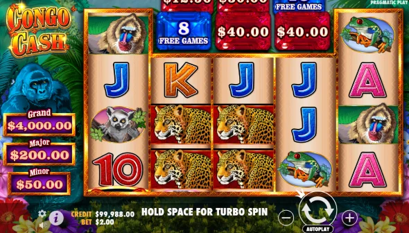 Victoria Épica Congo Cash