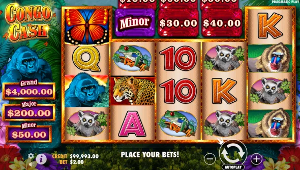 Super Gana at Congo Cash